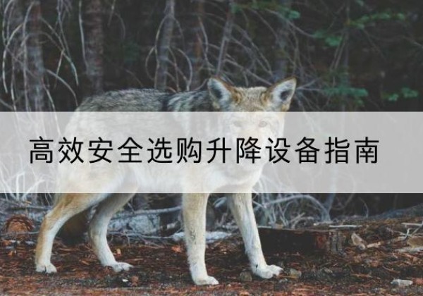 婺城升降货梯厂家推荐-*安全选购升降设备指南
