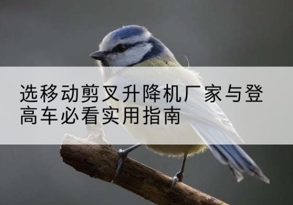 婺城电动升降机厂家-选移动剪叉升降机厂家与登高车必看实用指南